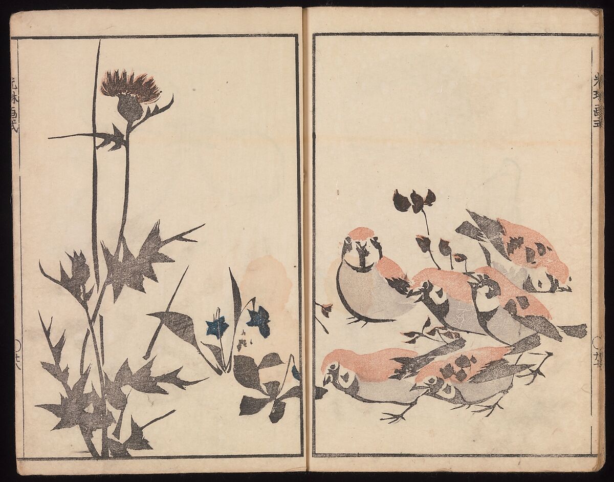 Kōrin's Painting Style (Kōrin gashiki), Aikawa Minwa (Japanese, active 1806–1821), Set of two Woodblock printed books; ink and color on paper, Japan