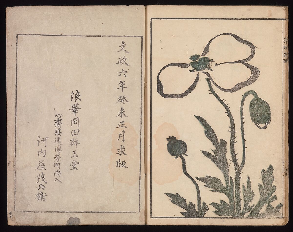 Kōrin's Painting Style (Kōrin gashiki), Aikawa Minwa (Japanese, active 1806–1821), Set of two Woodblock printed books; ink and color on paper, Japan