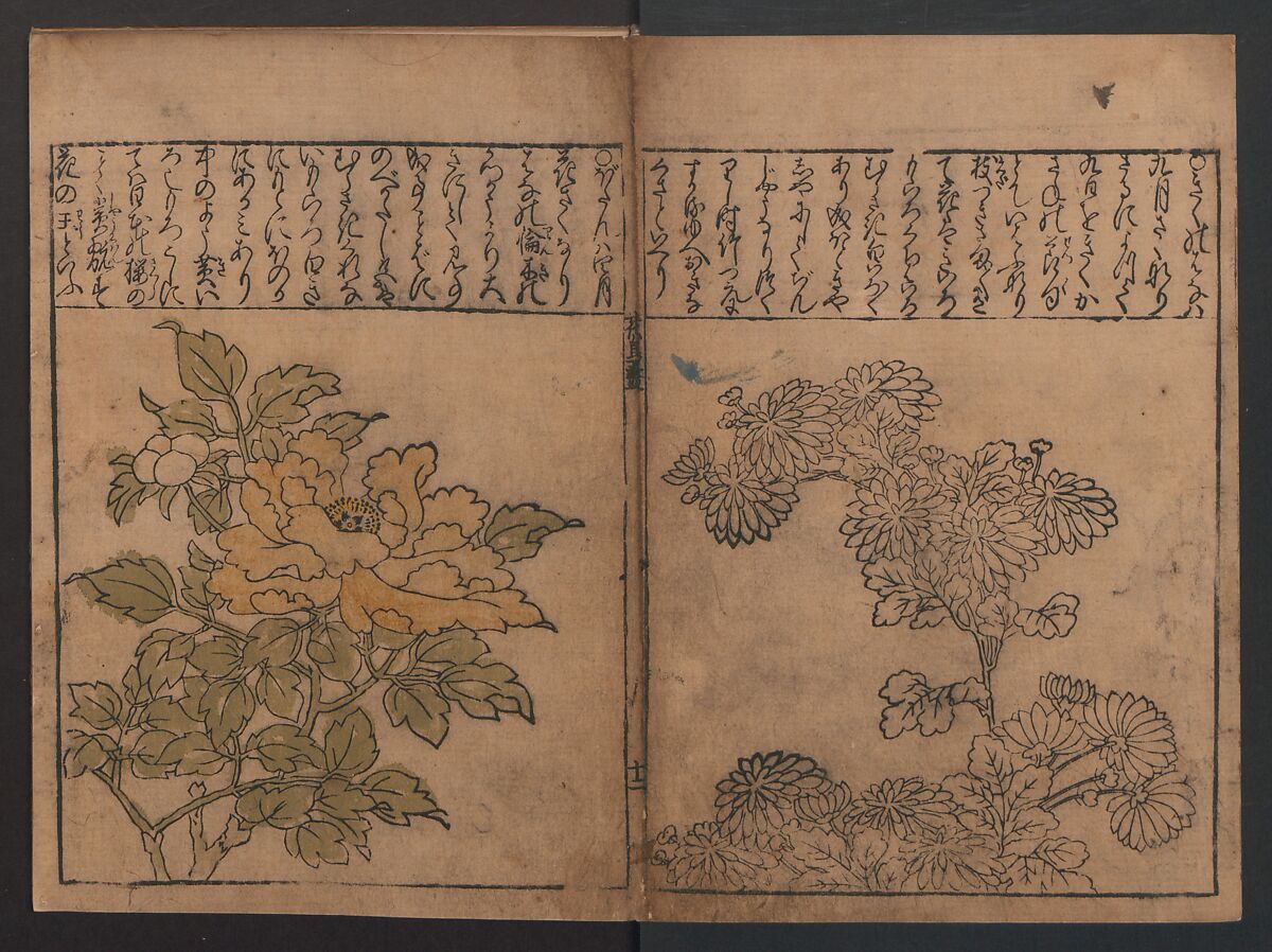 Illustrations of Birds and Flowers (Kachō e-zukushi) 花鳥絵づくし, Hishikawa Moronobu (Japanese, 1618–1694), Woodblock printed book; ink and color on paper, Japan