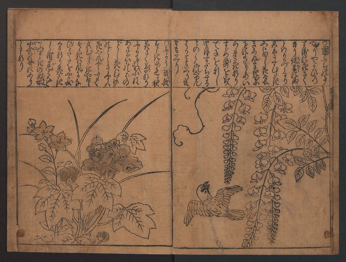 Illustrations of Birds and Flowers (Kachō e-zukushi) 花鳥絵づくし, Hishikawa Moronobu (Japanese, 1618–1694), Woodblock printed book; ink and color on paper, Japan