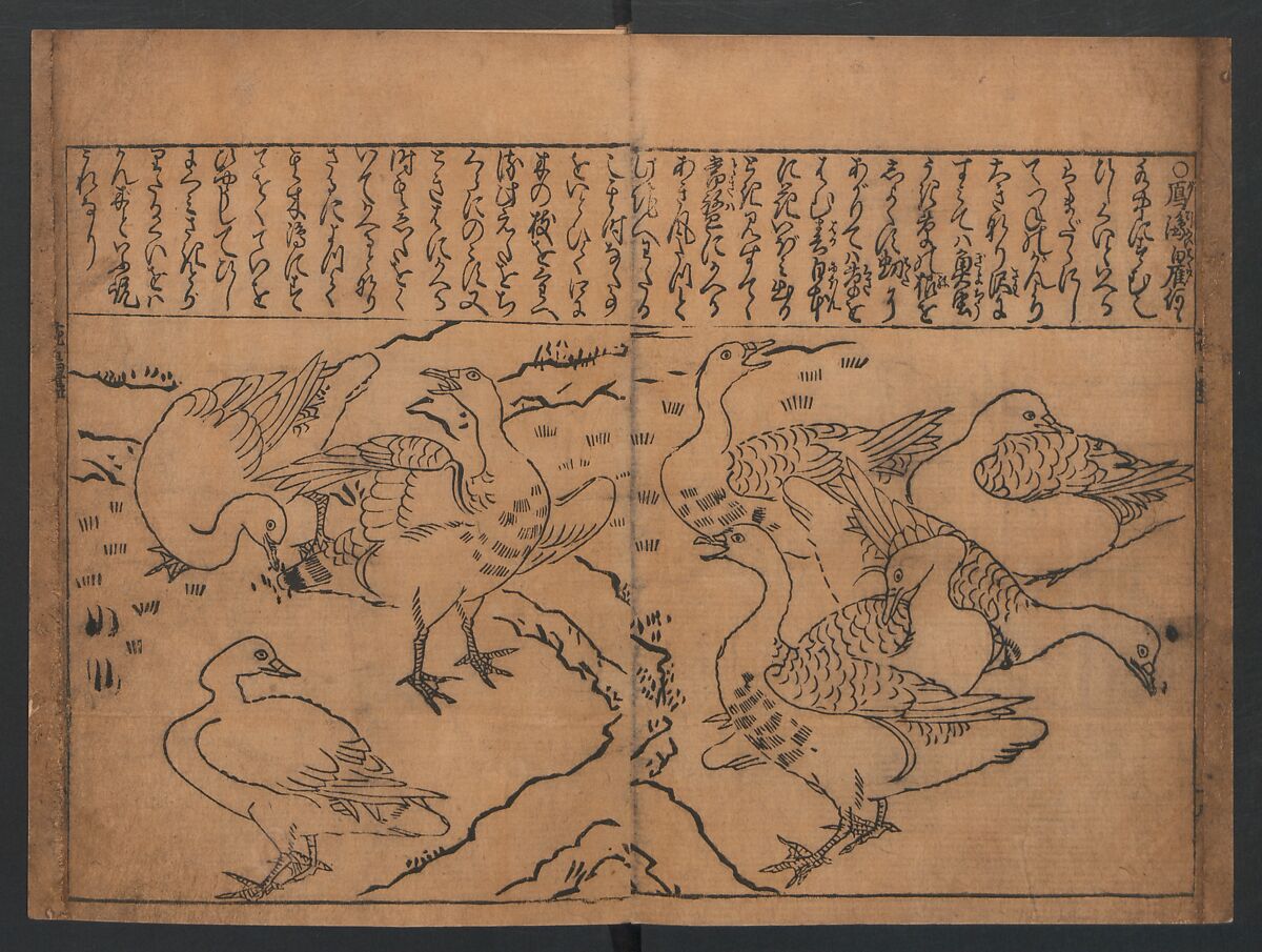 Illustrations of Birds and Flowers (Kachō e-zukushi) 花鳥絵づくし, Hishikawa Moronobu (Japanese, 1618–1694), Woodblock printed book; ink and color on paper, Japan