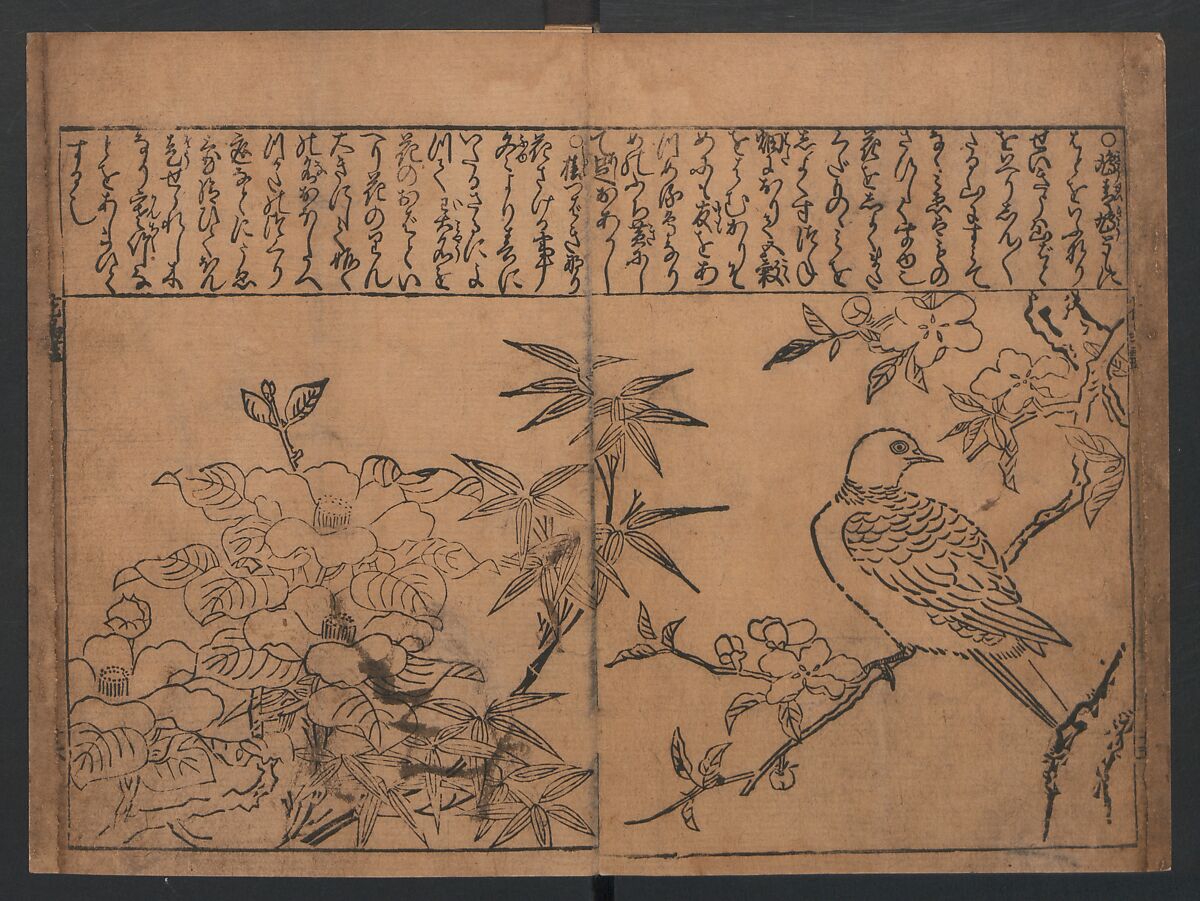 Illustrations of Birds and Flowers (Kachō e-zukushi) 花鳥絵づくし, Hishikawa Moronobu (Japanese, 1618–1694), Woodblock printed book; ink and color on paper, Japan