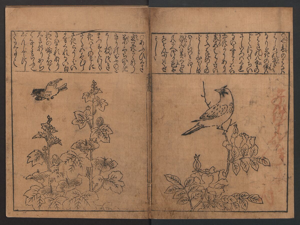 Illustrations of Birds and Flowers (Kachō e-zukushi) 花鳥絵づくし, Hishikawa Moronobu (Japanese, 1618–1694), Woodblock printed book; ink and color on paper, Japan