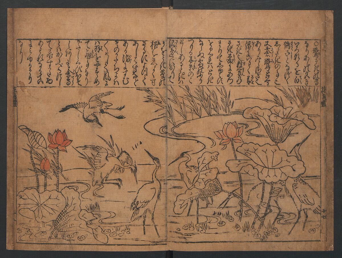 Illustrations of Birds and Flowers (Kachō e-zukushi) 花鳥絵づくし, Hishikawa Moronobu (Japanese, 1618–1694), Woodblock printed book; ink and color on paper, Japan
