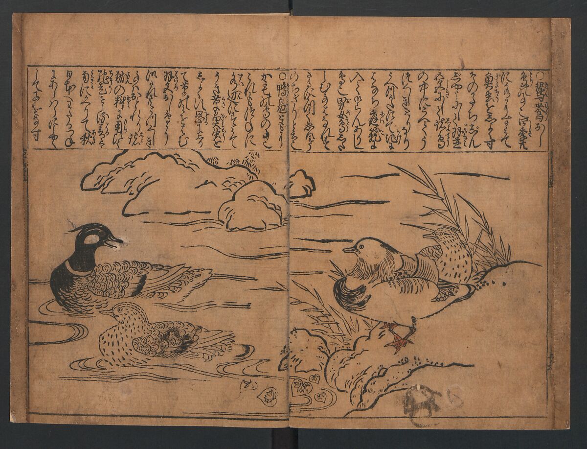 Illustrations of Birds and Flowers (Kachō e-zukushi) 花鳥絵づくし, Hishikawa Moronobu (Japanese, 1618–1694), Woodblock printed book; ink and color on paper, Japan