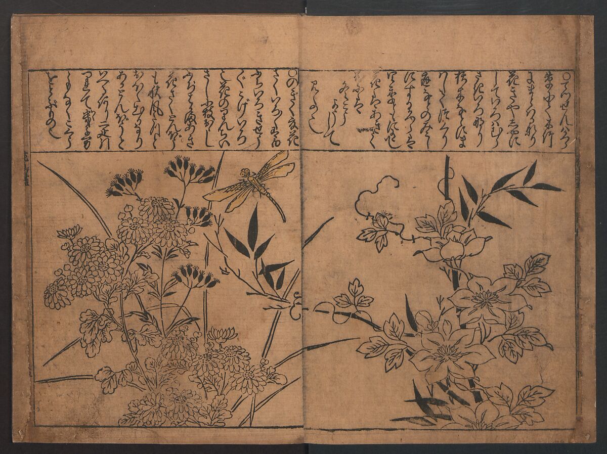 Illustrations of Birds and Flowers (Kachō e-zukushi) 花鳥絵づくし, Hishikawa Moronobu (Japanese, 1618–1694), Woodblock printed book; ink and color on paper, Japan