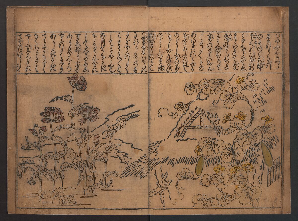 Illustrations of Birds and Flowers (Kachō e-zukushi) 花鳥絵づくし, Hishikawa Moronobu (Japanese, 1618–1694), Woodblock printed book; ink and color on paper, Japan