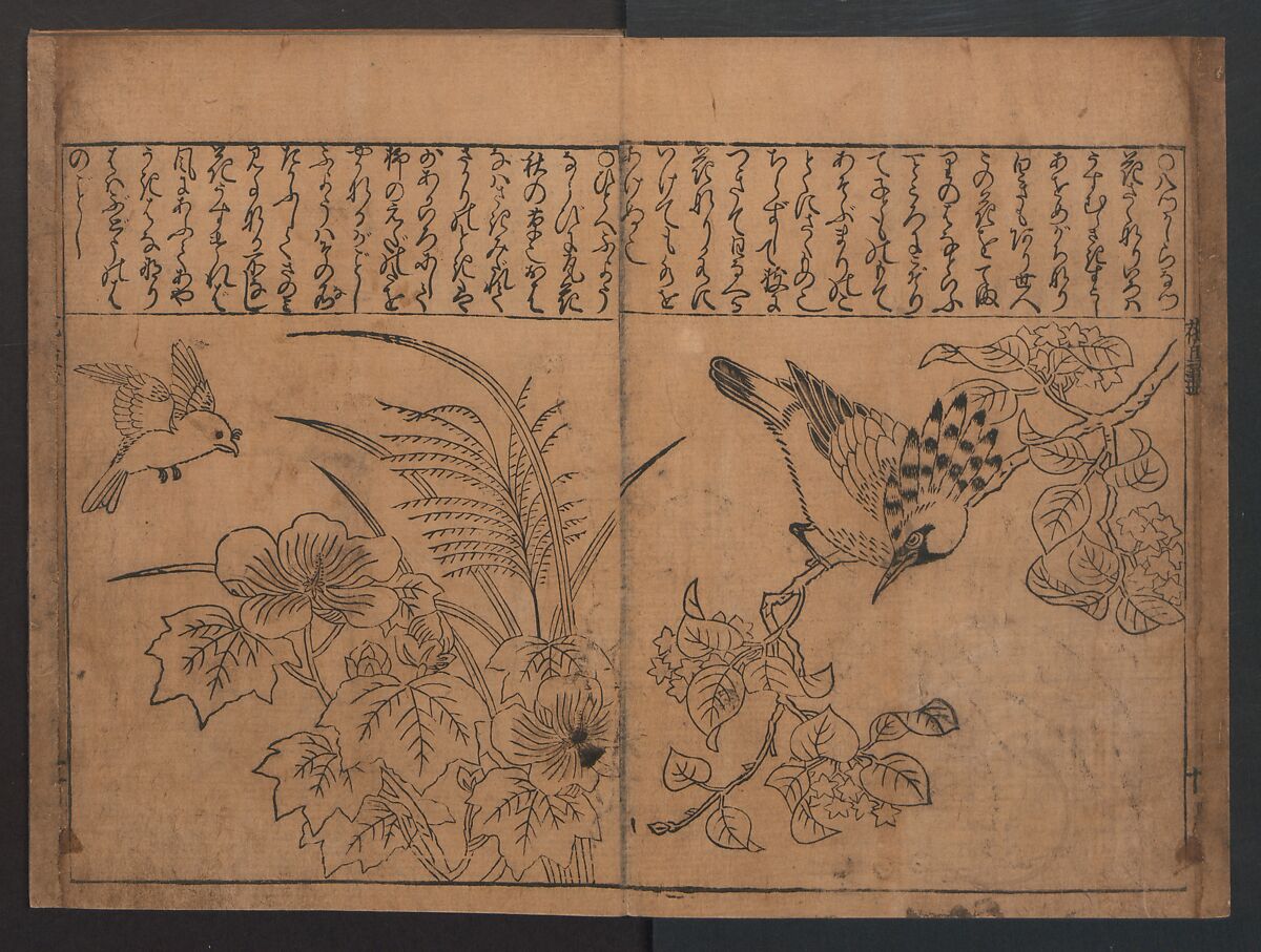 Illustrations of Birds and Flowers (Kachō e-zukushi) 花鳥絵づくし, Hishikawa Moronobu (Japanese, 1618–1694), Woodblock printed book; ink and color on paper, Japan
