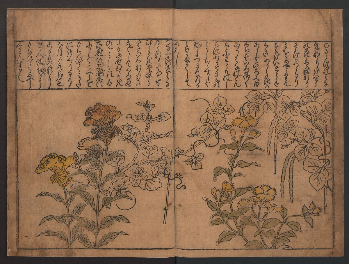 Illustrations of Birds and Flowers (Kachō e-zukushi) 花鳥絵づくし, Hishikawa Moronobu (Japanese, 1618–1694), Woodblock printed book; ink and color on paper, Japan