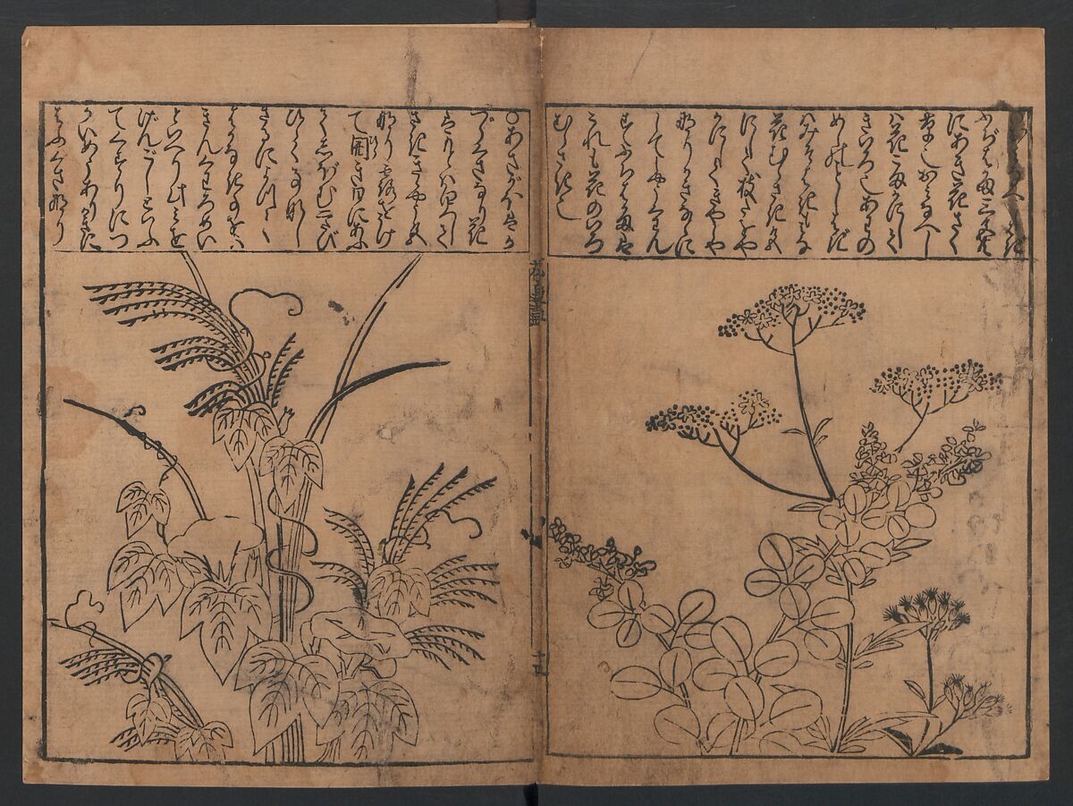 Illustrations of Birds and Flowers (Kachō e-zukushi) 花鳥絵づくし, Hishikawa Moronobu (Japanese, 1618–1694), Woodblock printed book; ink and color on paper, Japan