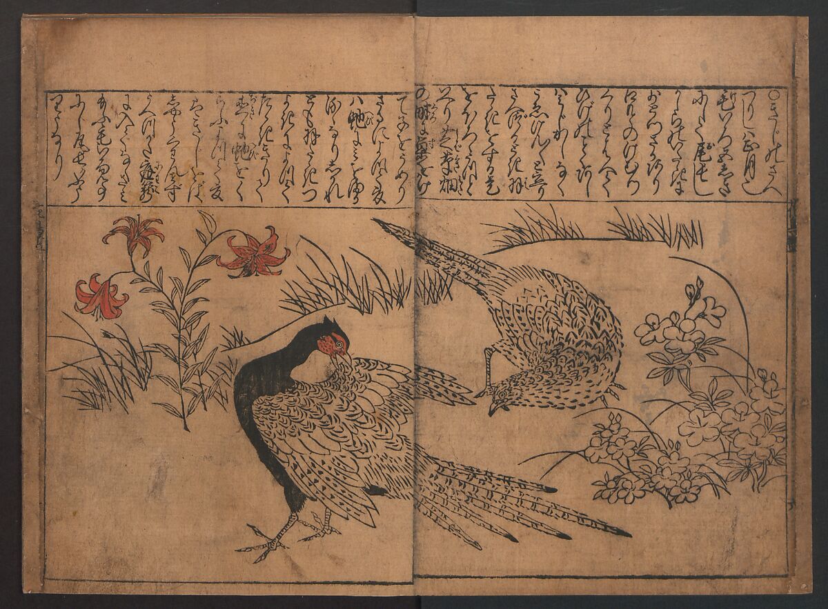 Illustrations of Birds and Flowers (Kachō e-zukushi) 花鳥絵づくし, Hishikawa Moronobu (Japanese, 1618–1694), Woodblock printed book; ink and color on paper, Japan
