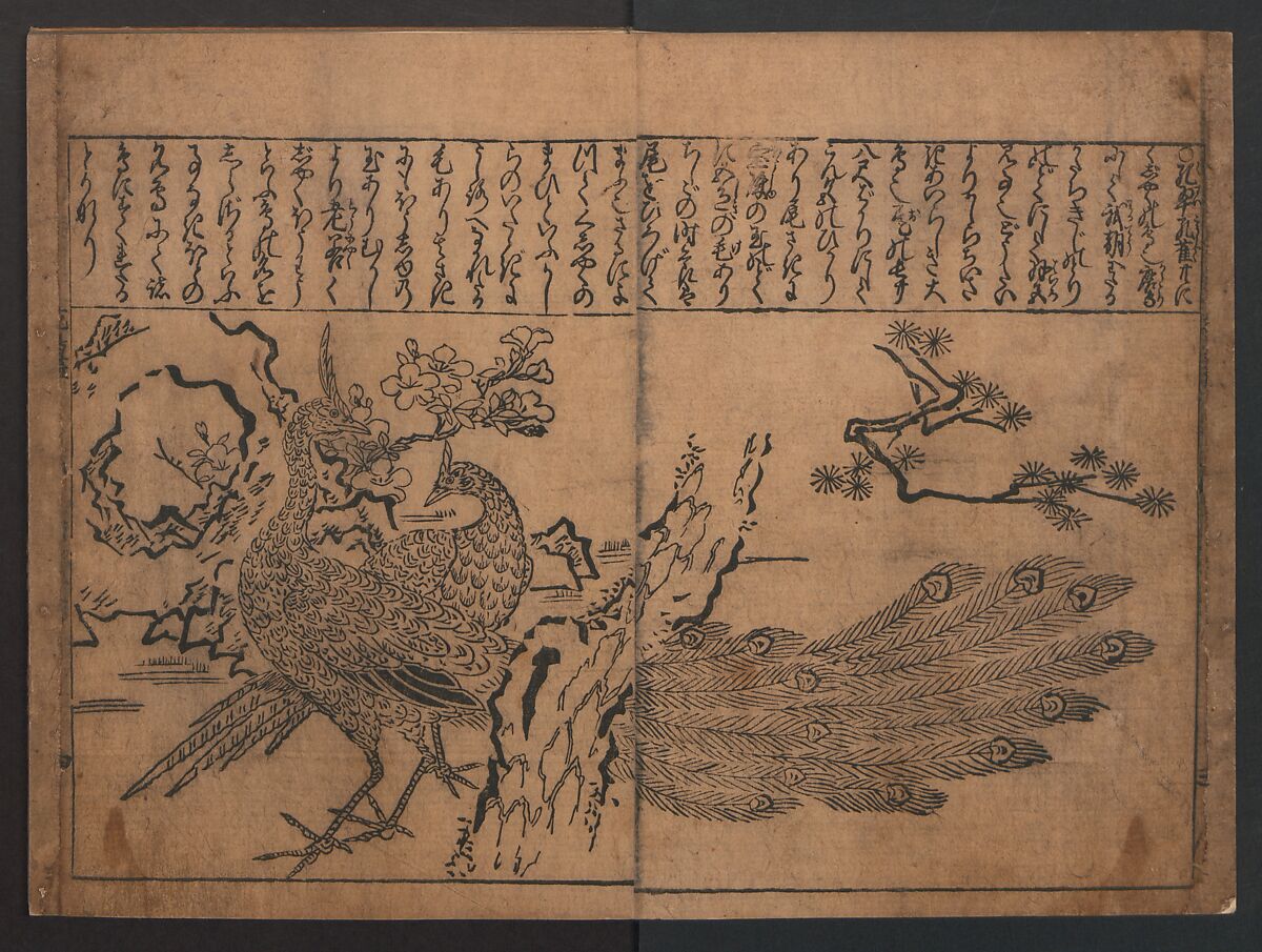 Illustrations of Birds and Flowers (Kachō e-zukushi) 花鳥絵づくし, Hishikawa Moronobu (Japanese, 1618–1694), Woodblock printed book; ink and color on paper, Japan