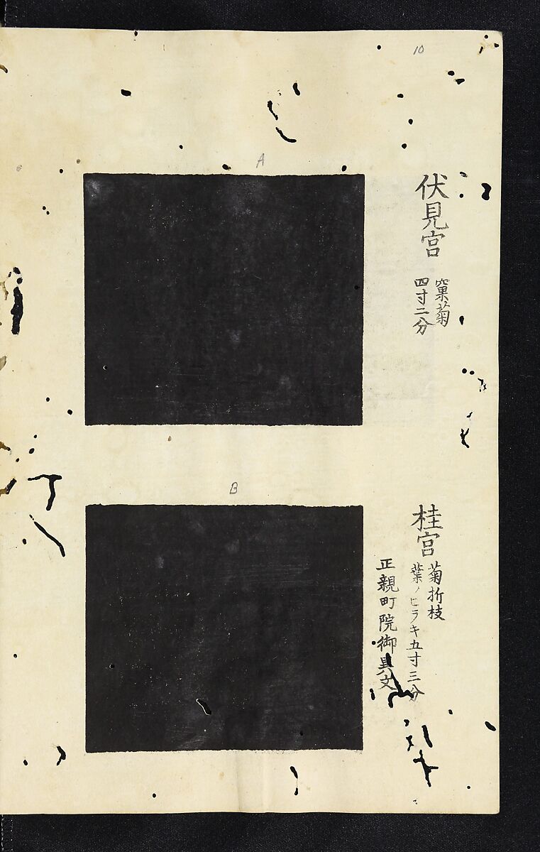 Patterns of Brocades Worn at Court (Shōzoku shokumon zue) 装束織文図会, Matsuoka Shiben, Ink and color on paper, Japan