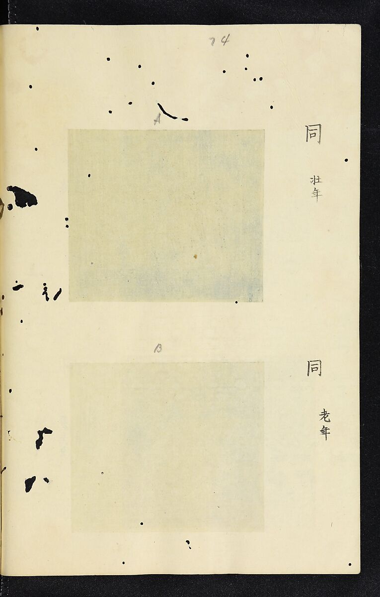 Patterns of Brocades Worn at Court (Shōzoku shokumon zue) 装束織文図会, Matsuoka Shiben, Ink and color on paper, Japan