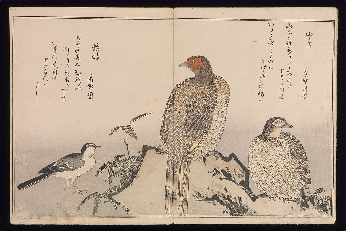 Myriad Birds:A Playful Poetry Contest (Momo chidori kyōka-awase), 2 vols., Kitagawa Utamaro (Japanese, ca. 1754–1806), Two volumes; woodblock printed books; ink and color on paper, Japan
