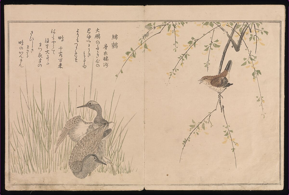 Myriad Birds:A Playful Poetry Contest (Momo chidori kyōka-awase), 2 vols., Kitagawa Utamaro (Japanese, ca. 1754–1806), Two volumes; woodblock printed books; ink and color on paper, Japan