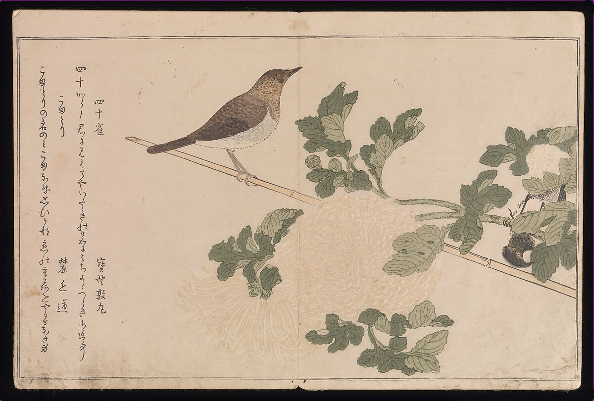 Myriad Birds:A Playful Poetry Contest (Momo chidori kyōka-awase), 2 vols., Kitagawa Utamaro (Japanese, ca. 1754–1806), Two volumes; woodblock printed books; ink and color on paper, Japan