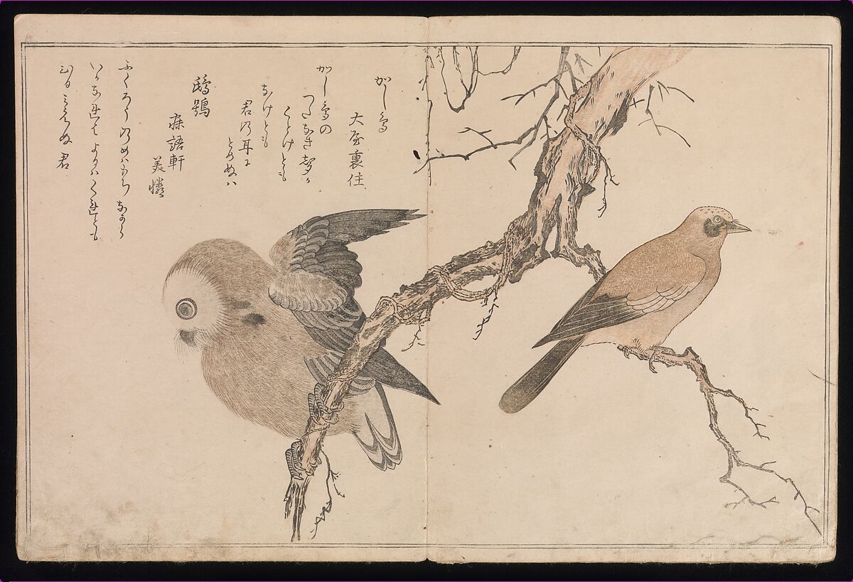 Myriad Birds:A Playful Poetry Contest (Momo chidori kyōka-awase), 2 vols., Kitagawa Utamaro (Japanese, ca. 1754–1806), Two volumes; woodblock printed books; ink and color on paper, Japan