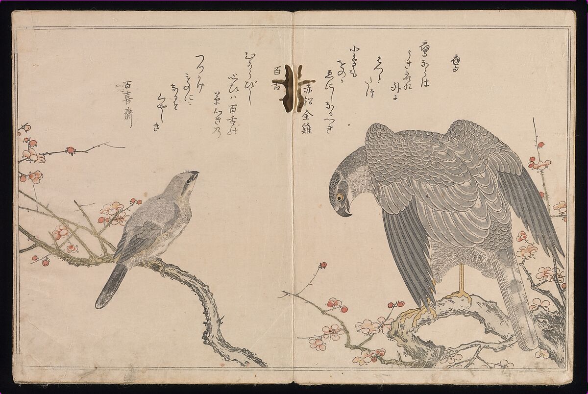 Myriad Birds:A Playful Poetry Contest (Momo chidori kyōka-awase), 2 vols., Kitagawa Utamaro (Japanese, ca. 1754–1806), Two volumes; woodblock printed books; ink and color on paper, Japan