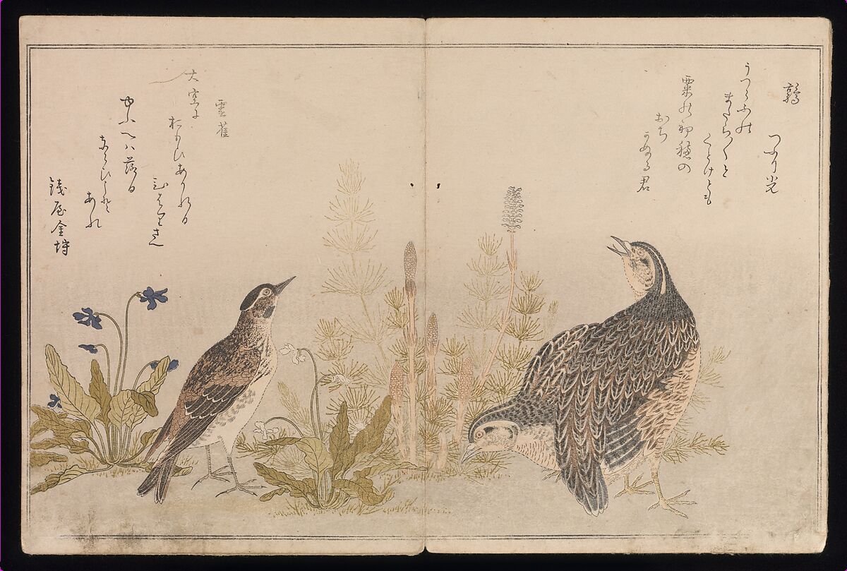 Myriad Birds:A Playful Poetry Contest (Momo chidori kyōka-awase), 2 vols., Kitagawa Utamaro (Japanese, ca. 1754–1806), Two volumes; woodblock printed books; ink and color on paper, Japan
