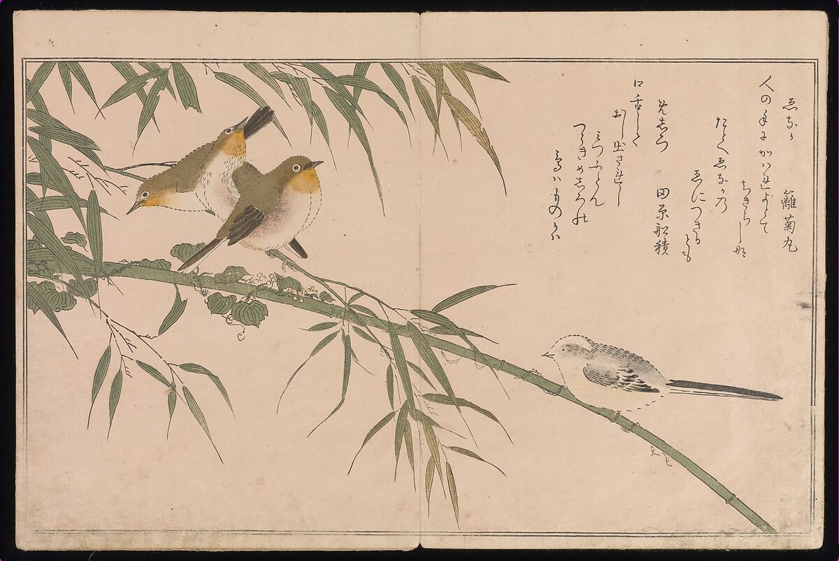 Myriad Birds:A Playful Poetry Contest (Momo chidori kyōka-awase), 2 vols., Kitagawa Utamaro (Japanese, ca. 1754–1806), Two volumes; woodblock printed books; ink and color on paper, Japan