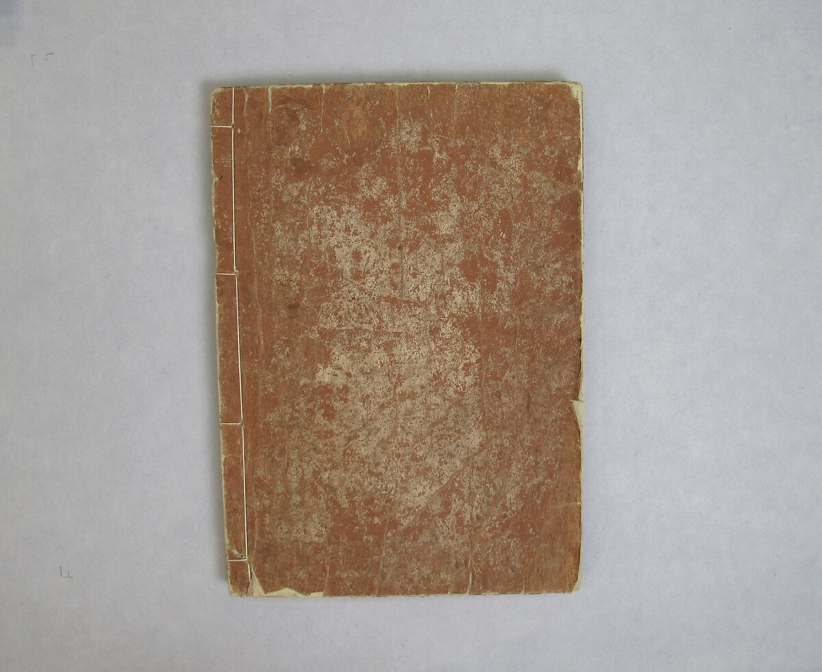 Transmitting the Spirit, Revealing the Form of Things: Hokusai Sketchbooks, volume 9 (Denshin kaishu: Hokusai manga, kyūhen), Katsushika Hokusai (Japanese, Tokyo (Edo) 1760–1849 Tokyo (Edo)), Woodblock printed book; ink and color on paper, Japan