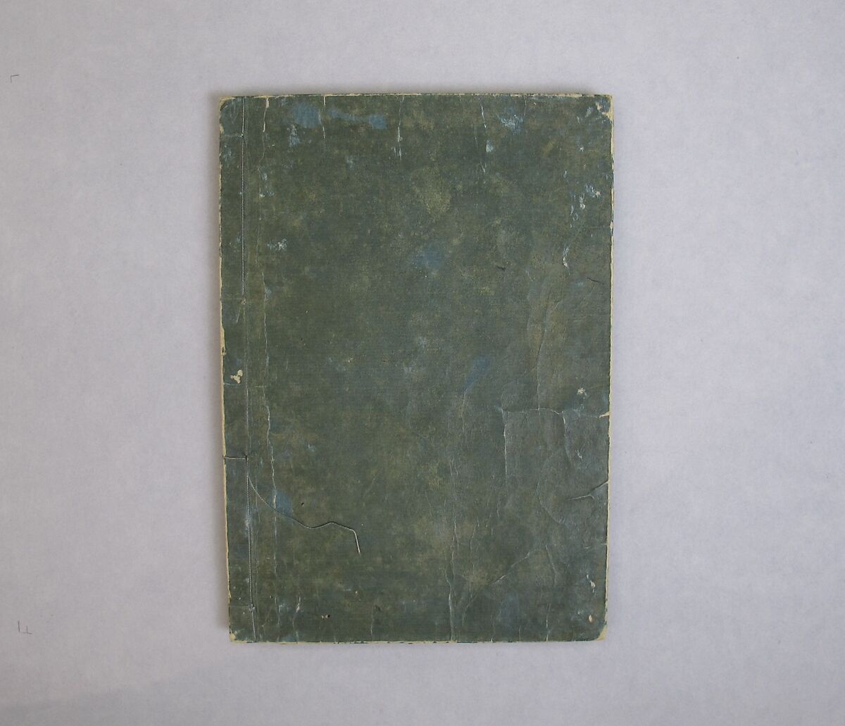 Transmitting the Spirit, Revealing the Form of Things: Hokusai Sketchbooks, volume 10 (Denshin kaishu: Hokusai manga, jūhen), Katsushika Hokusai (Japanese, Tokyo (Edo) 1760–1849 Tokyo (Edo)), Woodblock printed book; ink and color on paper, Japan