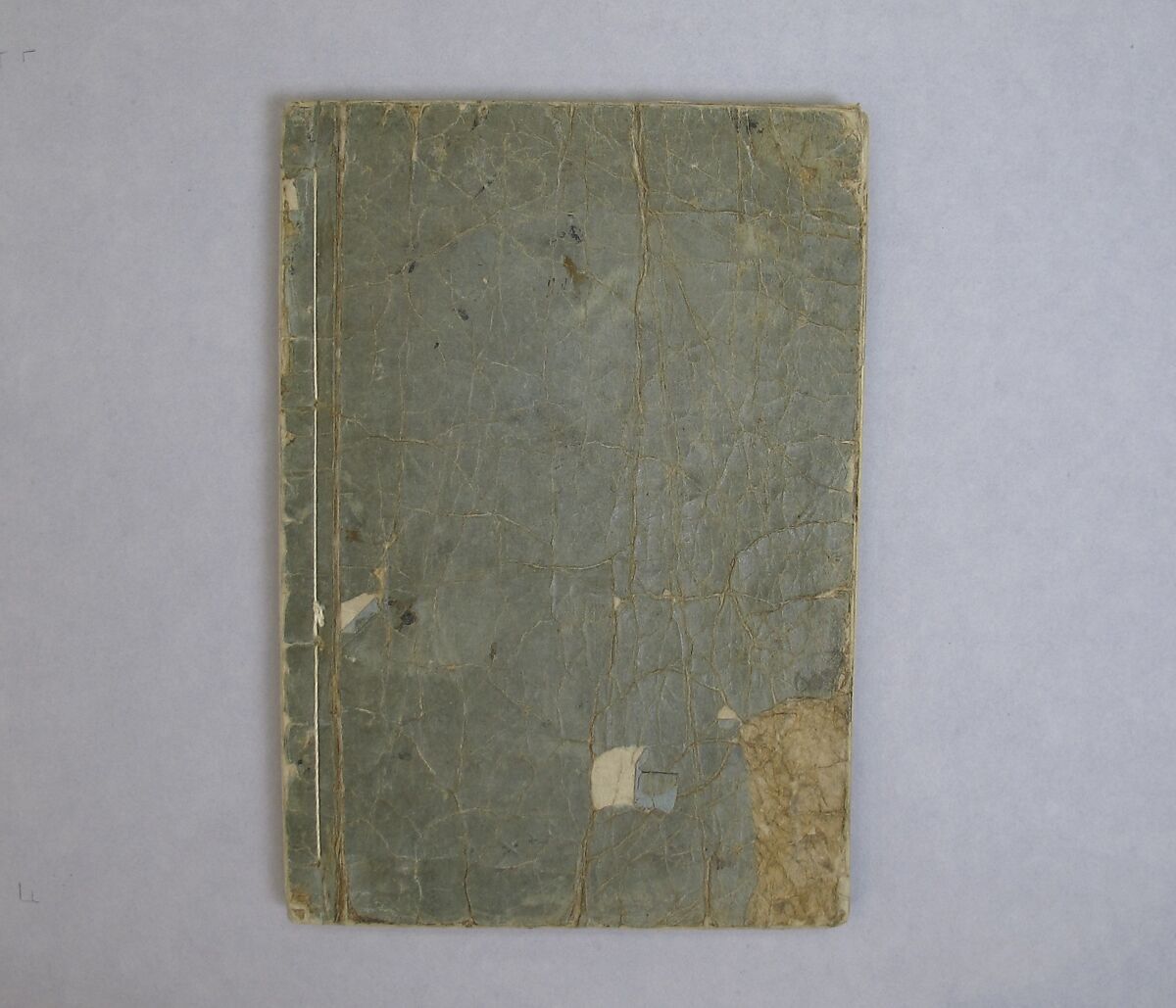 Transmitting the Spirit, Revealing the Form of Things: Hokusai Sketchbooks, volume 12 (Denshin kaishu: Hokusai manga, jūnihen), Katsushika Hokusai (Japanese, Tokyo (Edo) 1760–1849 Tokyo (Edo)), Woodblock printed book; ink and color on paper, Japan