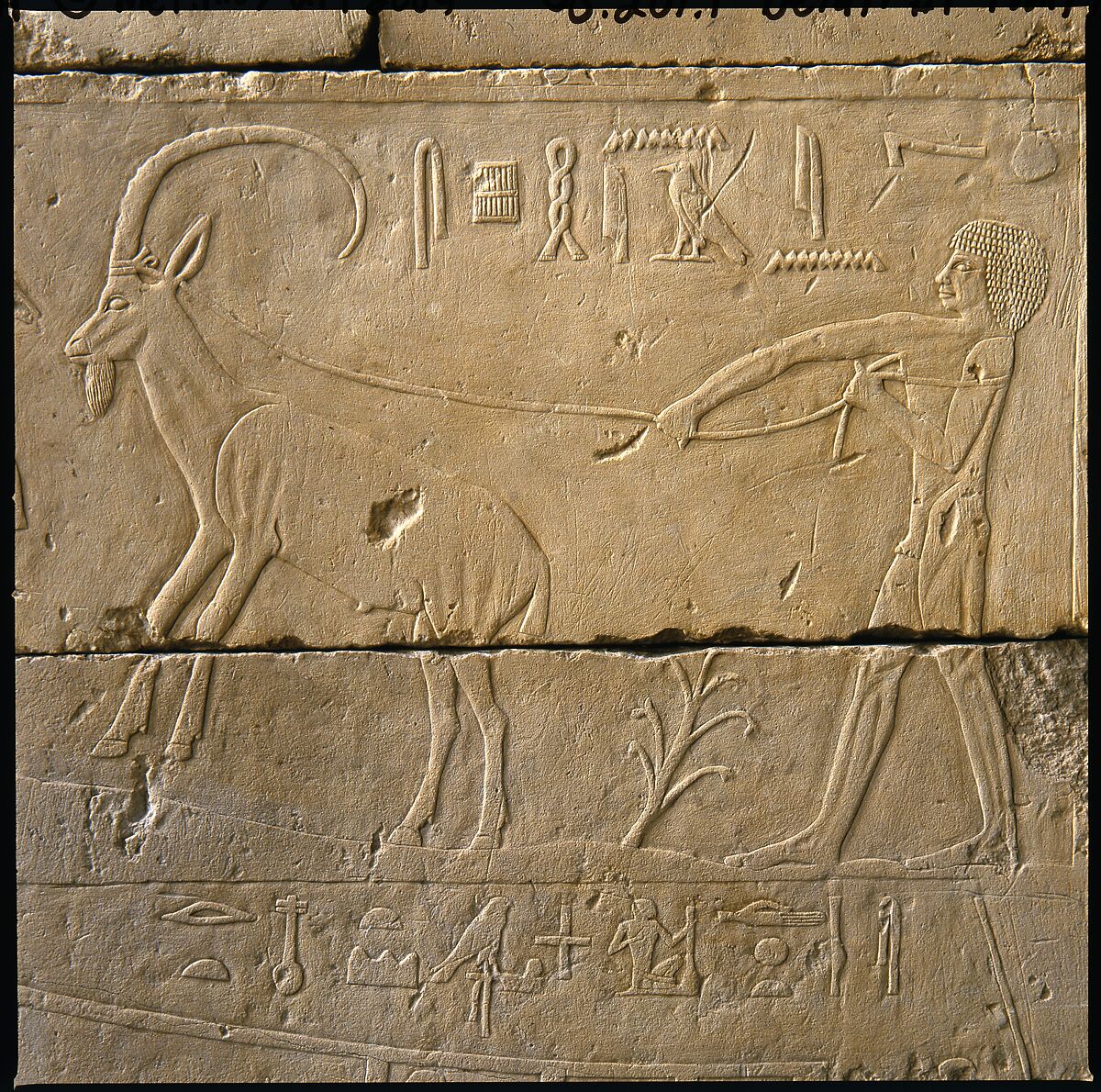 Tomb Chapel of Raemkai: South Wall, Limestone, paint 