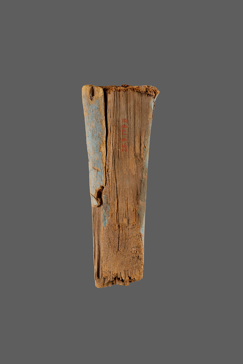 Coffin Beard Used as Plunderers' Wedge, Tamarisk