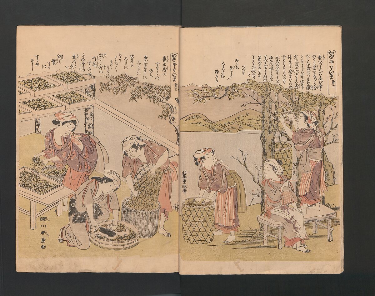 Picture Book of Brocades with Precious Threads (Ehon takara no itosuji 画本宝能縷, Katsukawa Shunshō　勝川春章 (Japanese, 1726–1792) (nos. 1, 3, 6, 8, 11, 12), Polychrome woodblock printed book; ink and color on paper, Japan