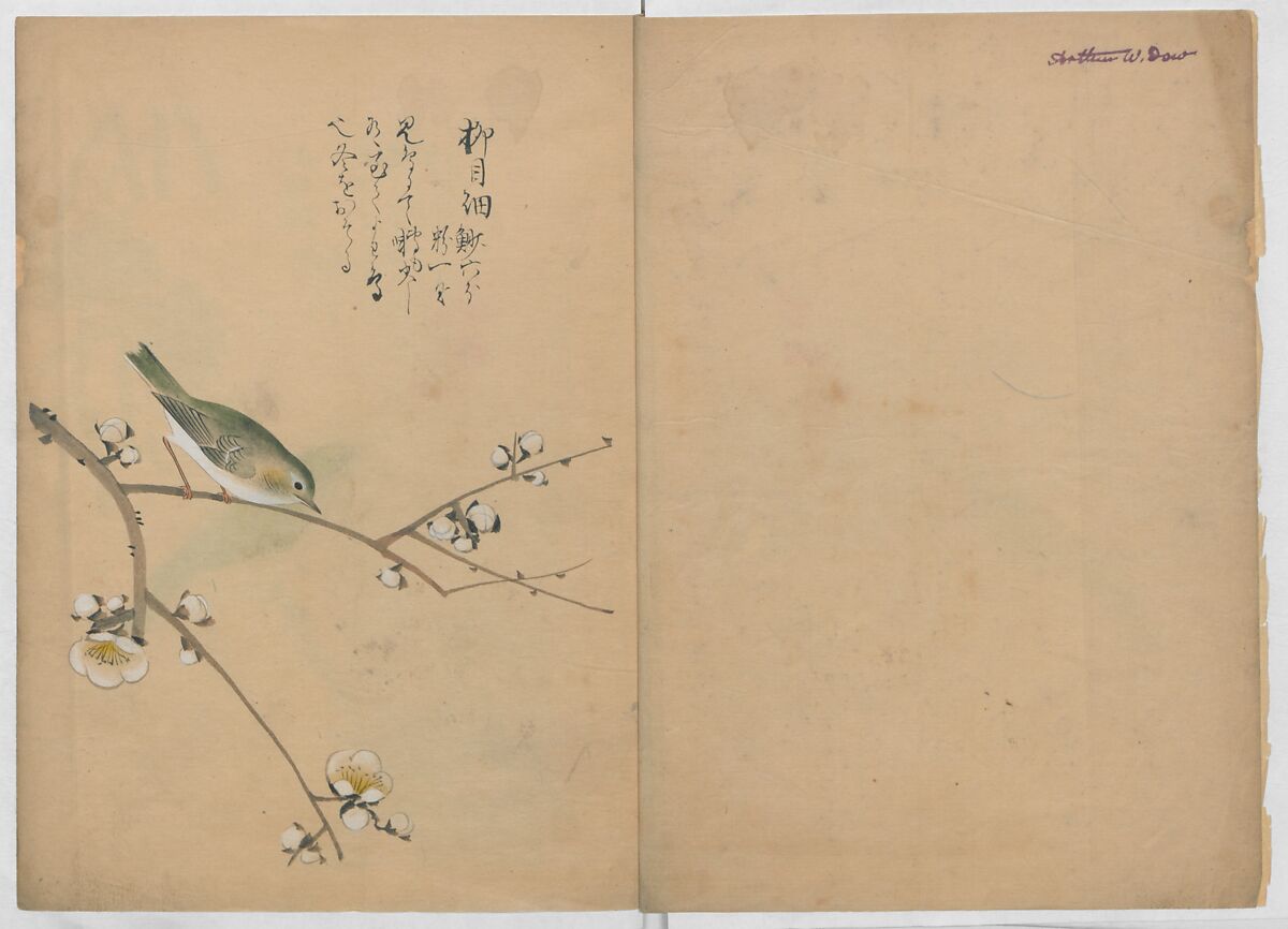 A Compendium of Small Birds (Kotori rui shū) 小鳥類集, Nantō (active early 19th century), Polychrome woodblock printed book, Japan