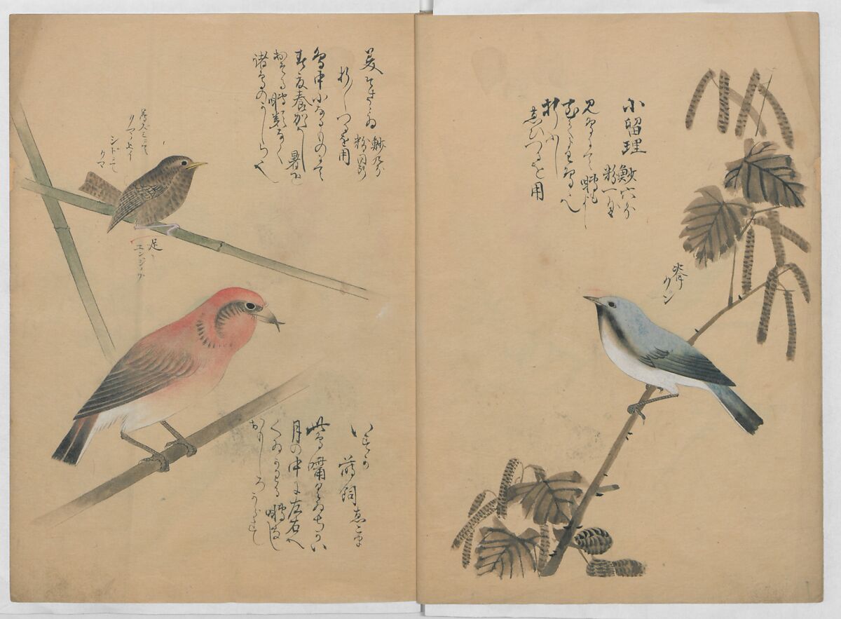 A Compendium of Small Birds (Kotori rui shū) 小鳥類集, Nantō (active early 19th century), Polychrome woodblock printed book, Japan