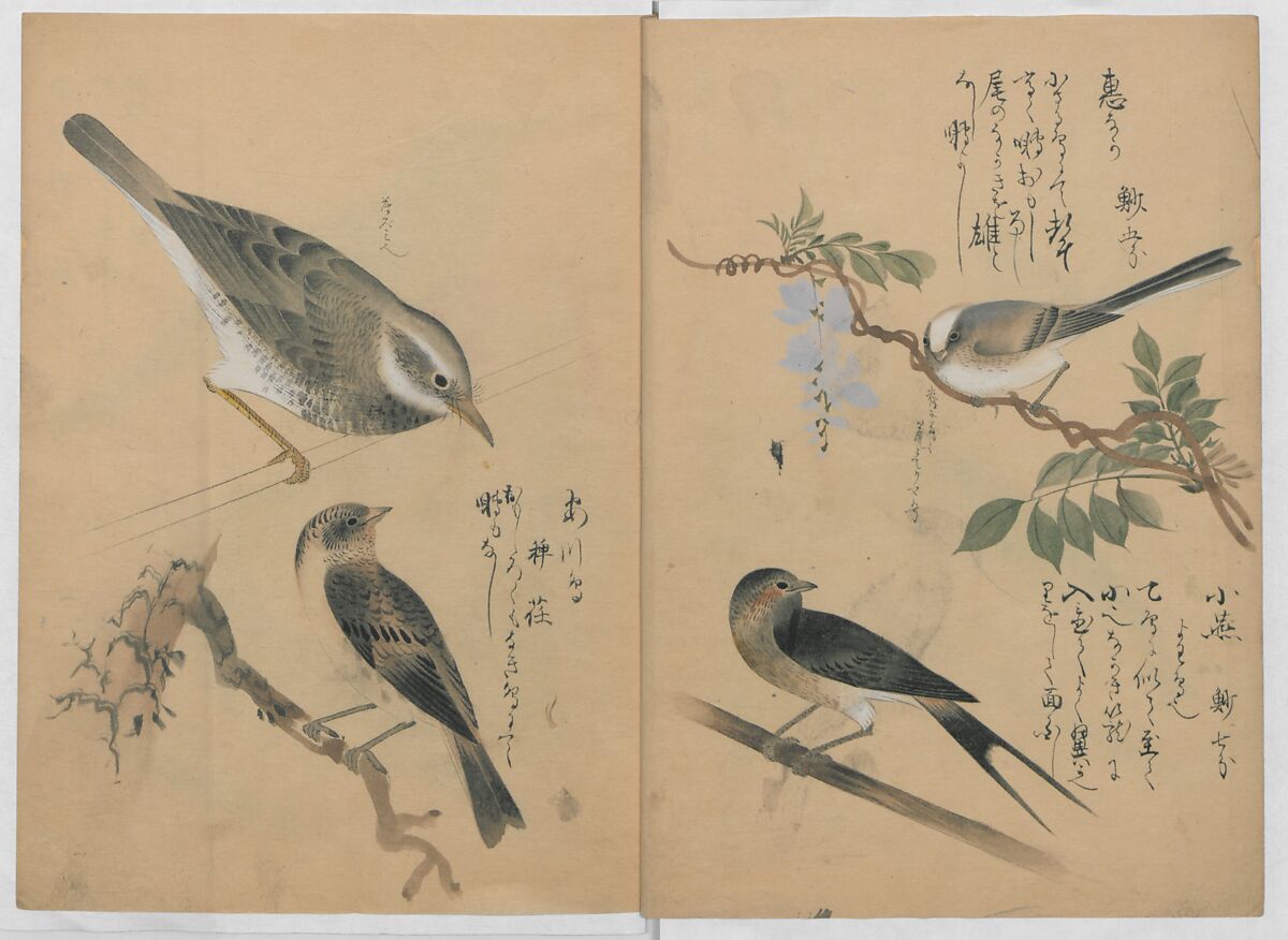 A Compendium of Small Birds (Kotori rui shū) 小鳥類集, Nantō (active early 19th century), Polychrome woodblock printed book, Japan