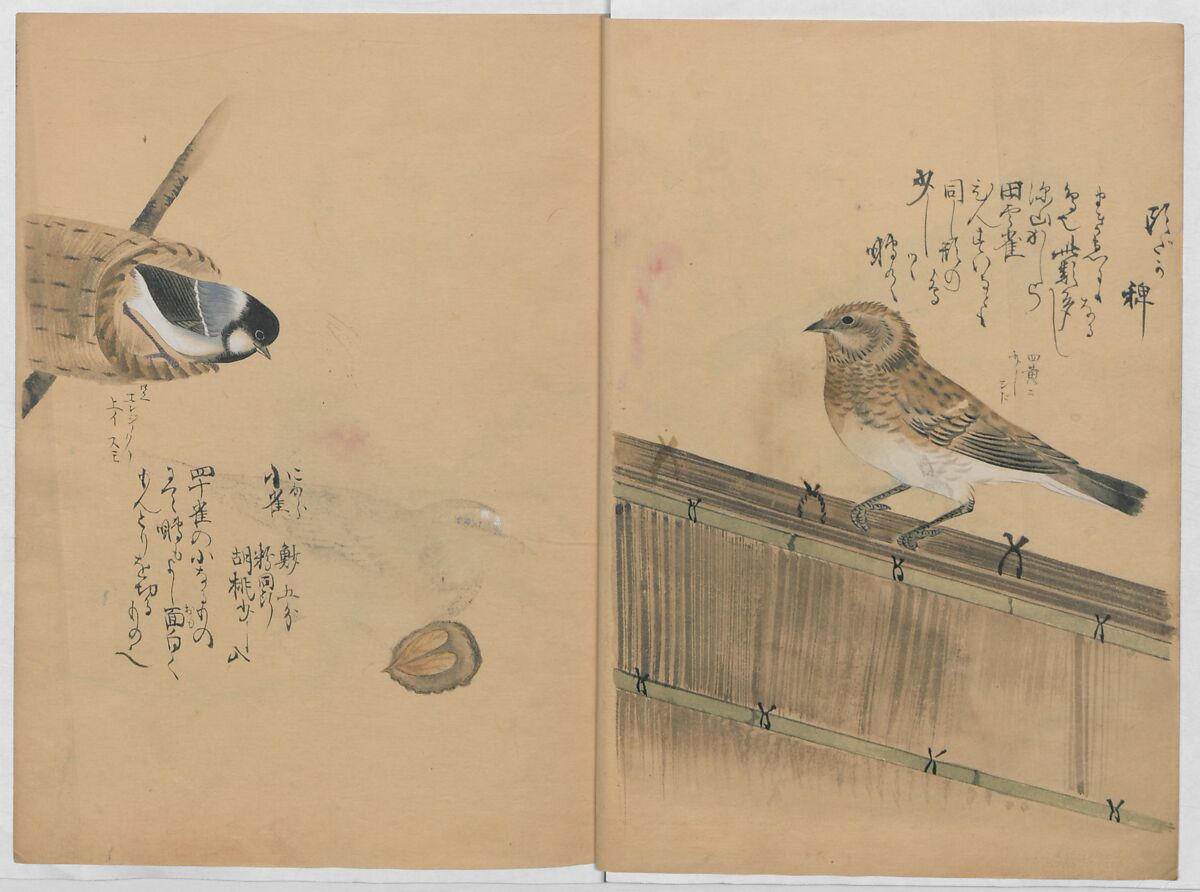 A Compendium of Small Birds (Kotori rui shū) 小鳥類集, Nantō (active early 19th century), Polychrome woodblock printed book, Japan
