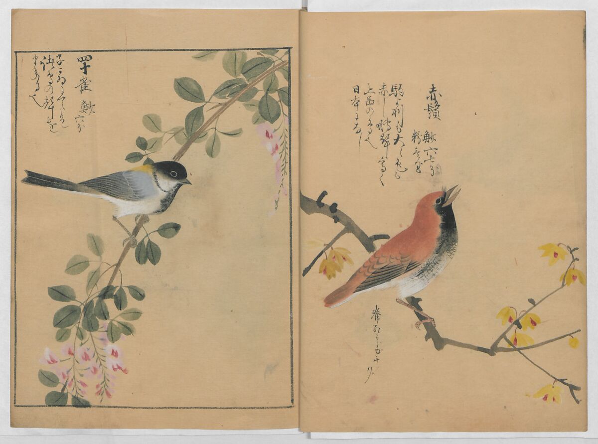 A Compendium of Small Birds (Kotori rui shū) 小鳥類集, Nantō (active early 19th century), Polychrome woodblock printed book, Japan