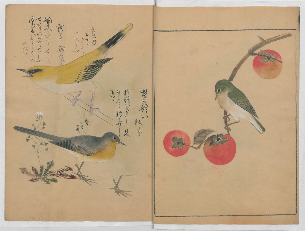 A Compendium of Small Birds (Kotori rui shū) 小鳥類集, Nantō (active early 19th century), Polychrome woodblock printed book, Japan