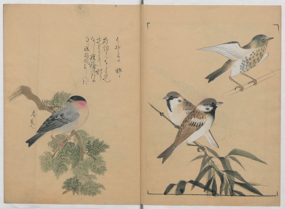 A Compendium of Small Birds (Kotori rui shū) 小鳥類集, Nantō (active early 19th century), Polychrome woodblock printed book, Japan