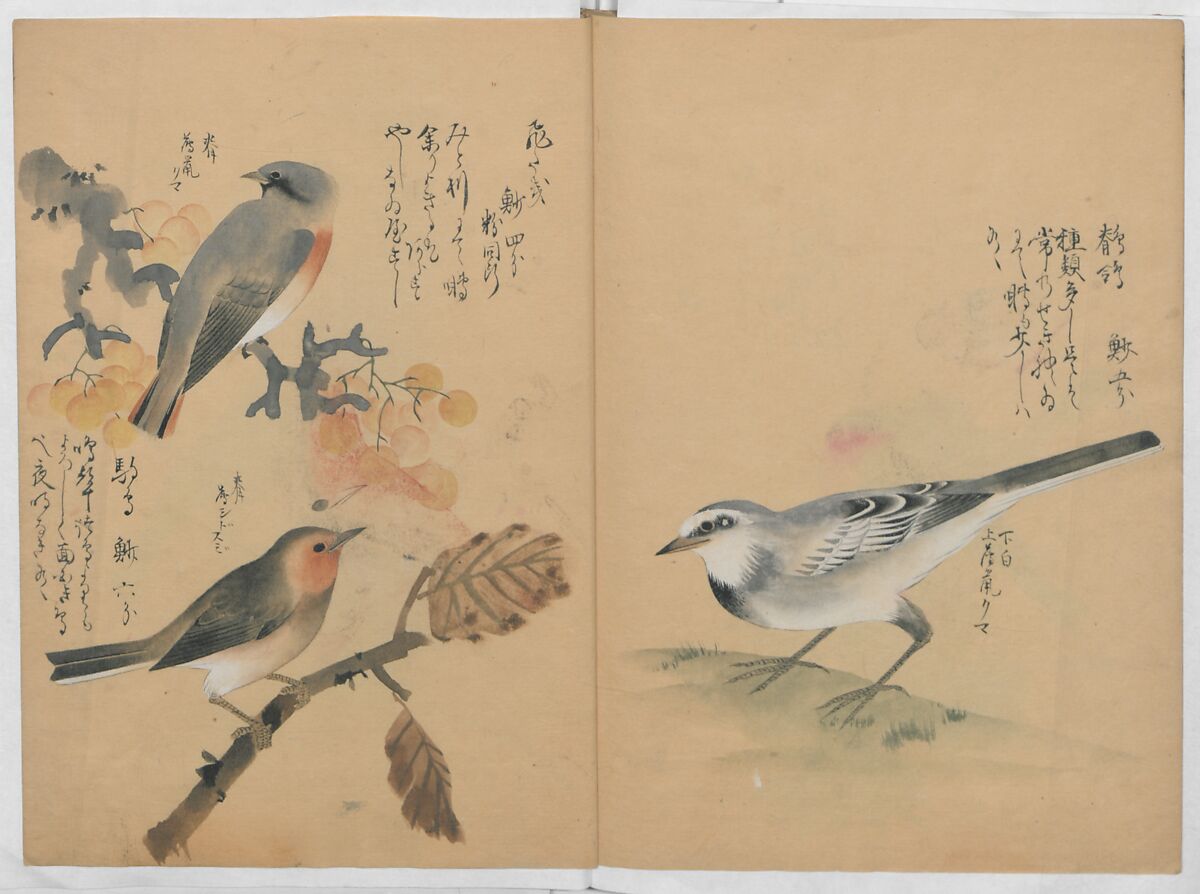A Compendium of Small Birds (Kotori rui shū) 小鳥類集, Nantō (active early 19th century), Polychrome woodblock printed book, Japan