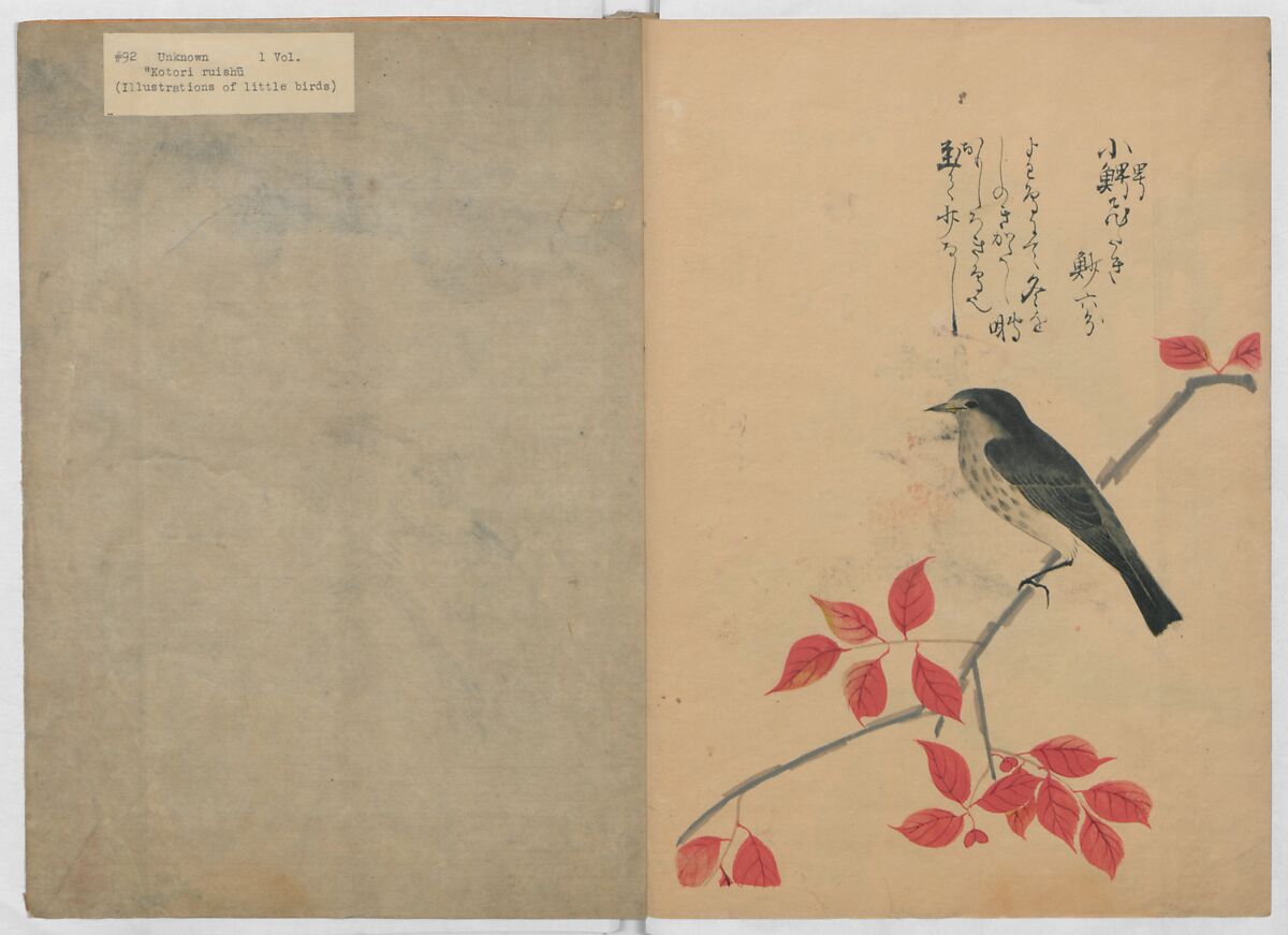 A Compendium of Small Birds (Kotori rui shū) 小鳥類集, Nantō (active early 19th century), Polychrome woodblock printed book, Japan