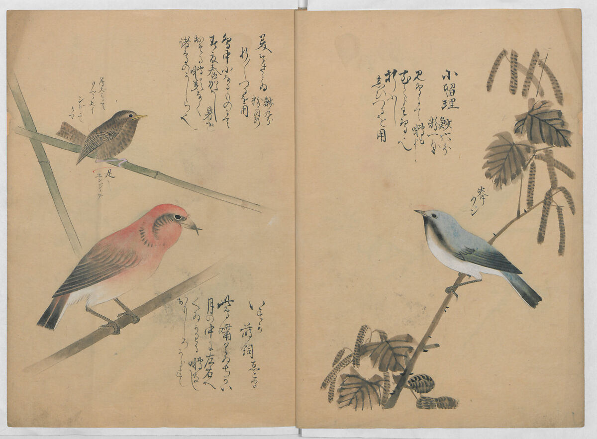 A Compendium of Small Birds (Kotori rui shū) 小鳥類集, Nantō (active early 19th century), Polychrome woodblock printed book, Japan 