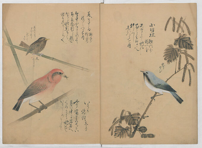 A Compendium of Small Birds (Kotori rui shū) 小鳥類集