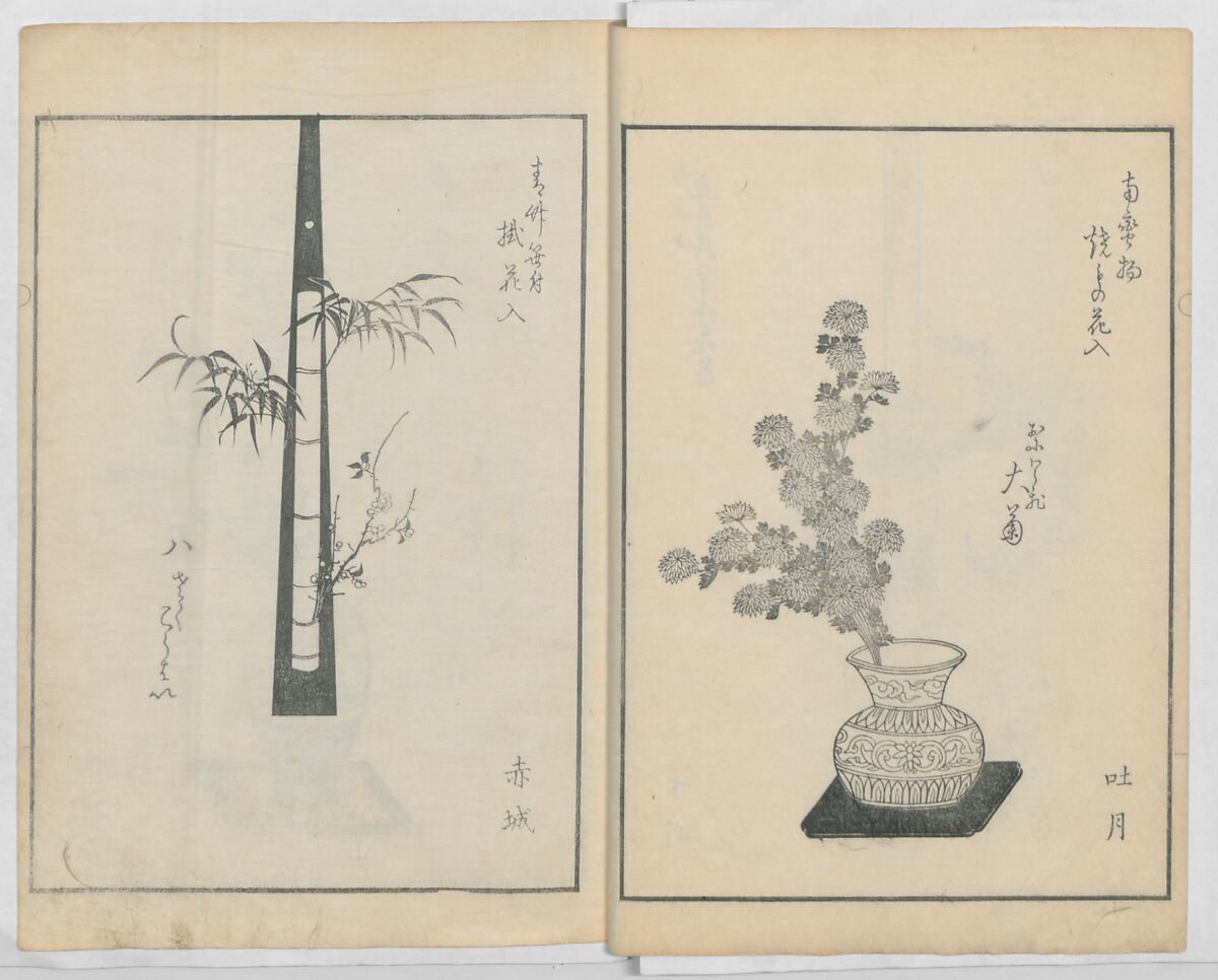 A Book on Flower Arrangement: Hare's-Foot Fern (Shinobugusa) 師廼部供作 (vol. 2);  思乃父魚砂 (vol. 3), Yoshida Tōgetsu 吉田桃月, Monochrome Woodblock printed books; ink on paper, Japan