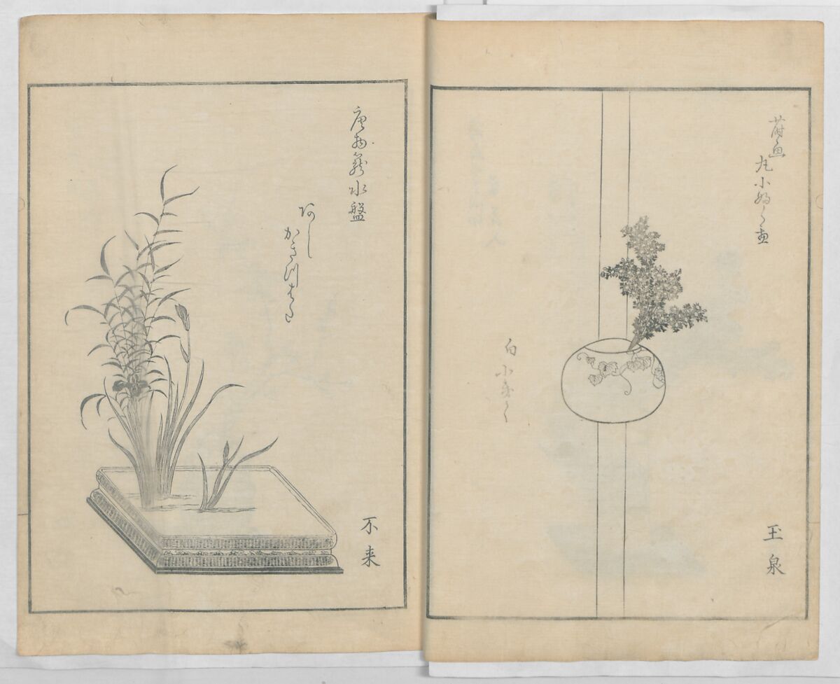 A Book on Flower Arrangement: Hare's-Foot Fern (Shinobugusa) 師廼部供作 (vol. 2);  思乃父魚砂 (vol. 3), Yoshida Tōgetsu 吉田桃月, Monochrome Woodblock printed books; ink on paper, Japan