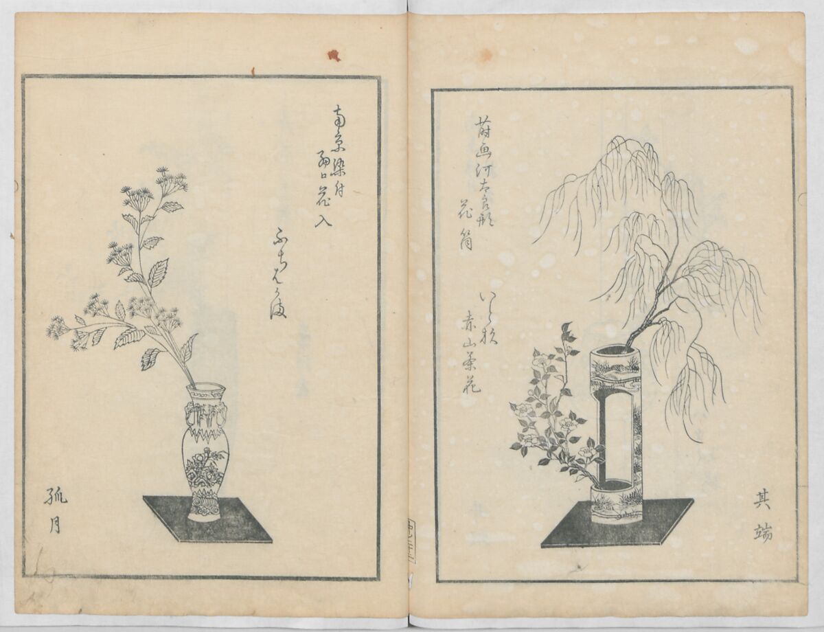 A Book on Flower Arrangement: Hare's-Foot Fern (Shinobugusa) 師廼部供作 (vol. 2);  思乃父魚砂 (vol. 3), Yoshida Tōgetsu 吉田桃月, Monochrome Woodblock printed books; ink on paper, Japan