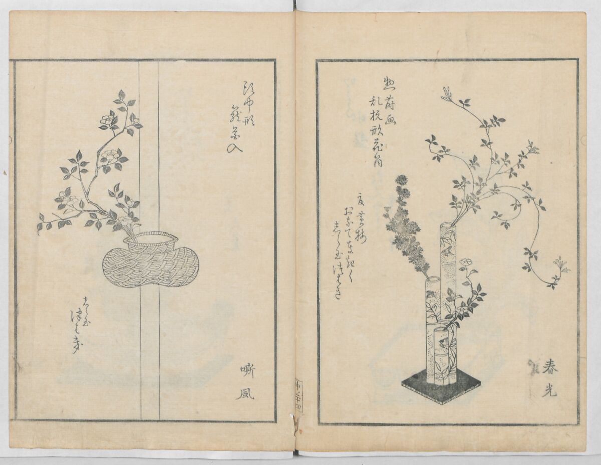 A Book on Flower Arrangement: Hare's-Foot Fern (Shinobugusa) 師廼部供作 (vol. 2);  思乃父魚砂 (vol. 3), Yoshida Tōgetsu 吉田桃月, Monochrome Woodblock printed books; ink on paper, Japan