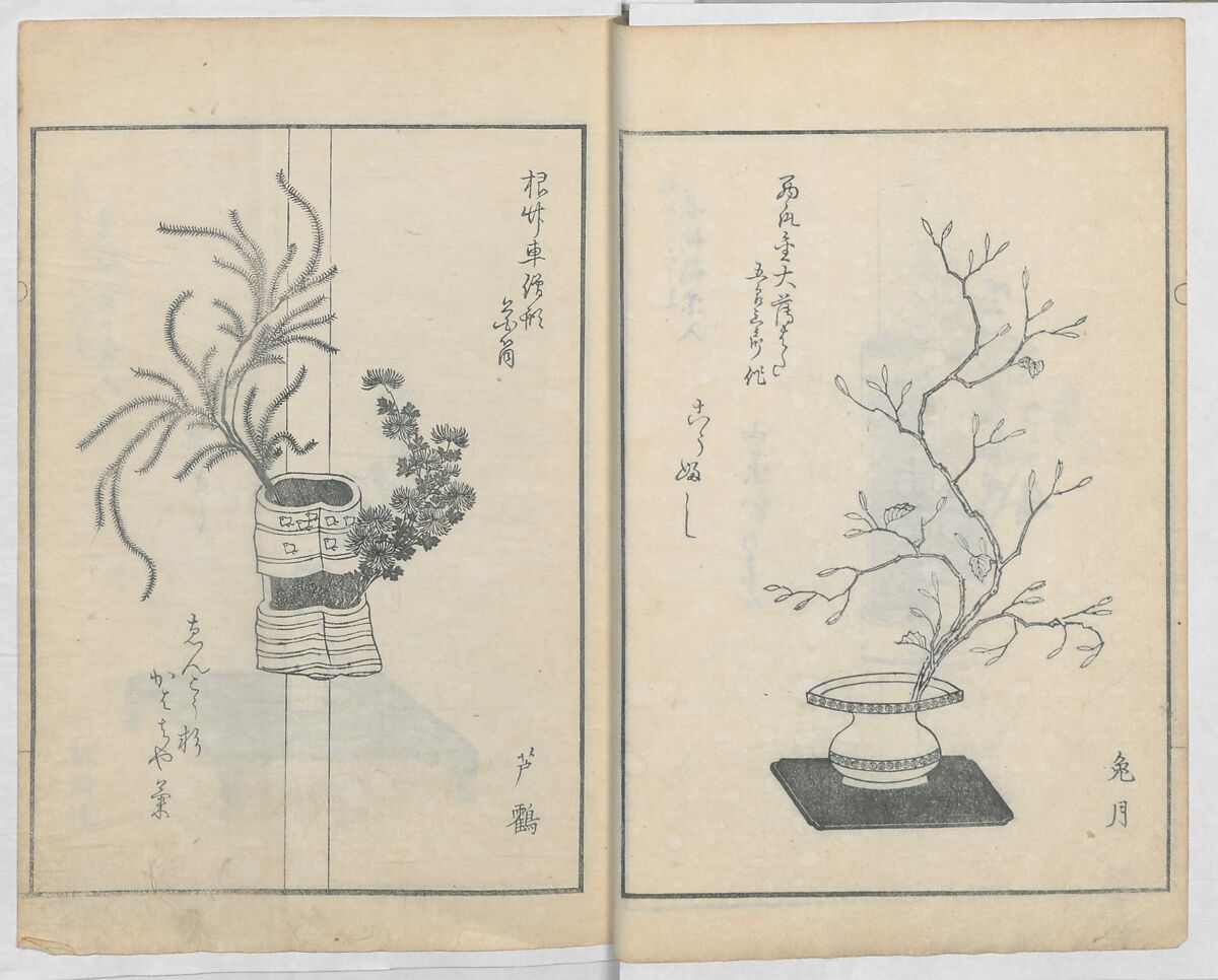 A Book on Flower Arrangement: Hare's-Foot Fern (Shinobugusa) 師廼部供作 (vol. 2);  思乃父魚砂 (vol. 3), Yoshida Tōgetsu 吉田桃月, Monochrome Woodblock printed books; ink on paper, Japan