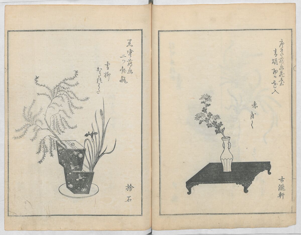 A Book on Flower Arrangement: Hare's-Foot Fern (Shinobugusa) 師廼部供作 (vol. 2);  思乃父魚砂 (vol. 3), Yoshida Tōgetsu 吉田桃月, Monochrome Woodblock printed books; ink on paper, Japan