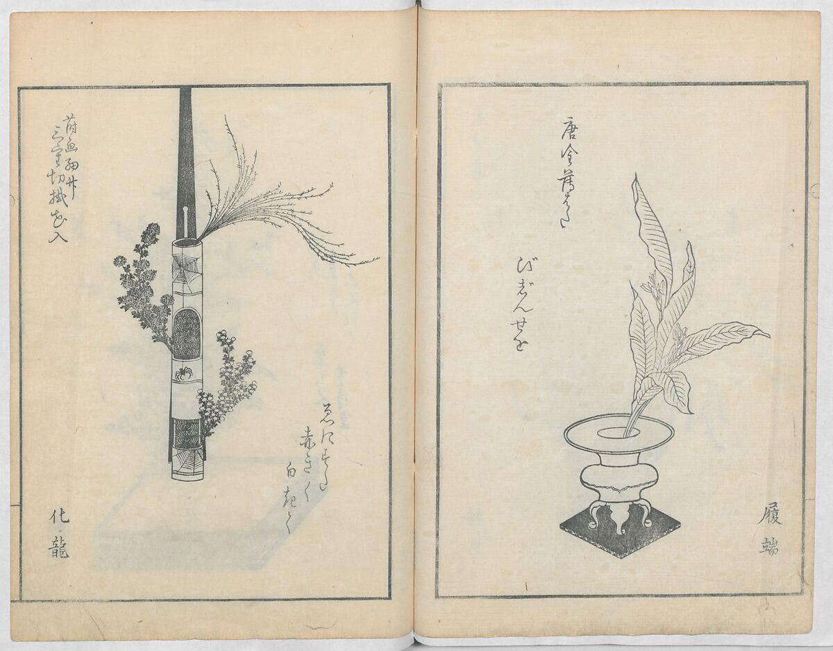 A Book on Flower Arrangement: Hare's-Foot Fern (Shinobugusa) 師廼部供作 (vol. 2);  思乃父魚砂 (vol. 3), Yoshida Tōgetsu 吉田桃月, Monochrome Woodblock printed books; ink on paper, Japan