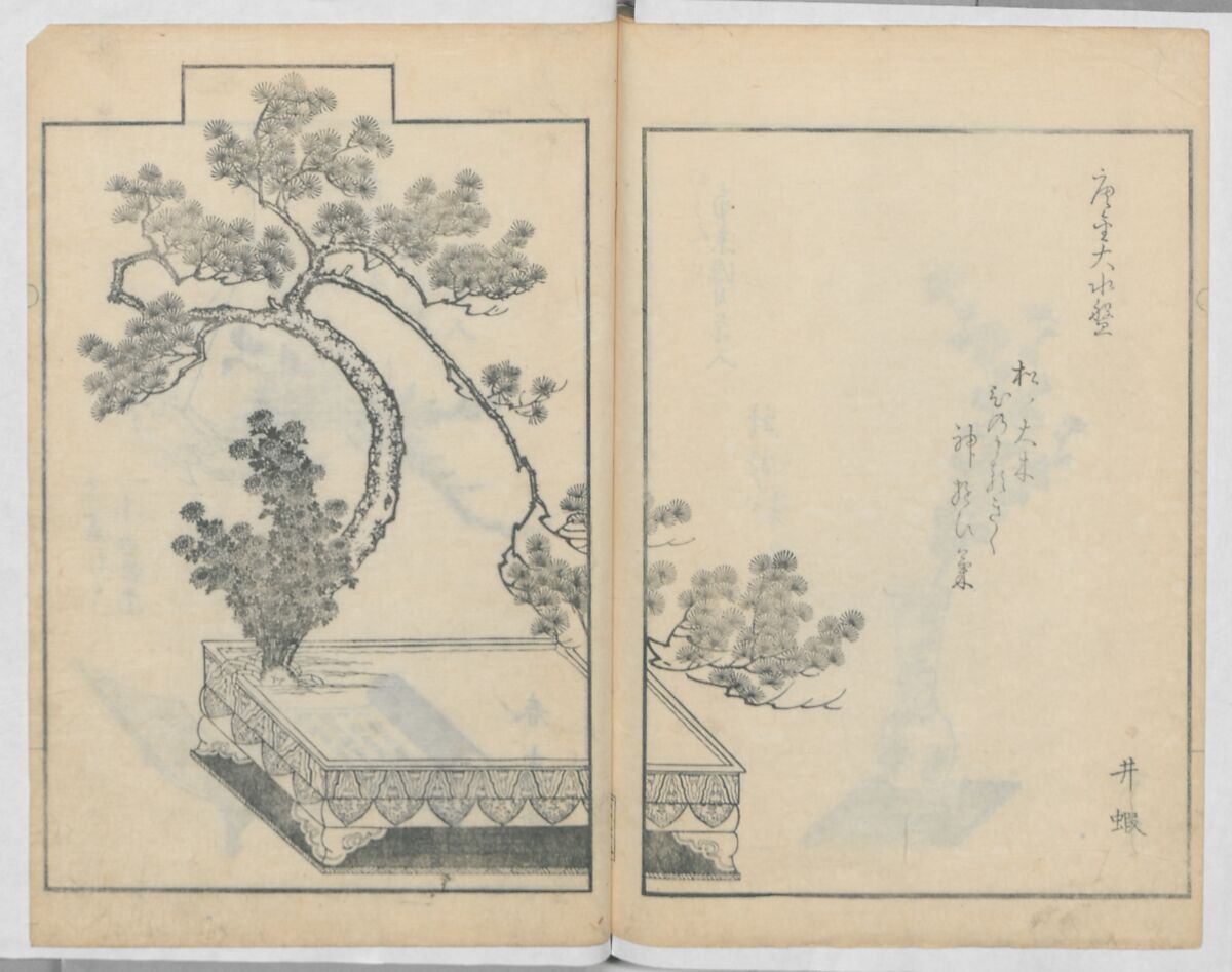 A Book on Flower Arrangement: Hare's-Foot Fern (Shinobugusa) 師廼部供作 (vol. 2);  思乃父魚砂 (vol. 3), Yoshida Tōgetsu 吉田桃月, Monochrome Woodblock printed books; ink on paper, Japan